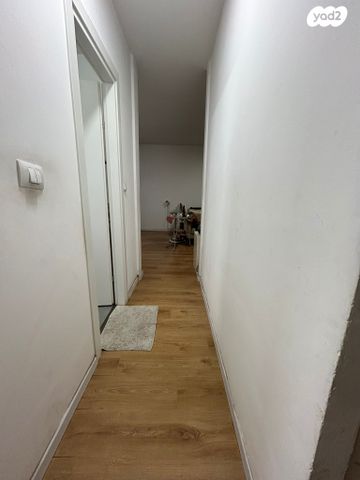 דירה, א.ס. לוי, בן גוריון, רמלה