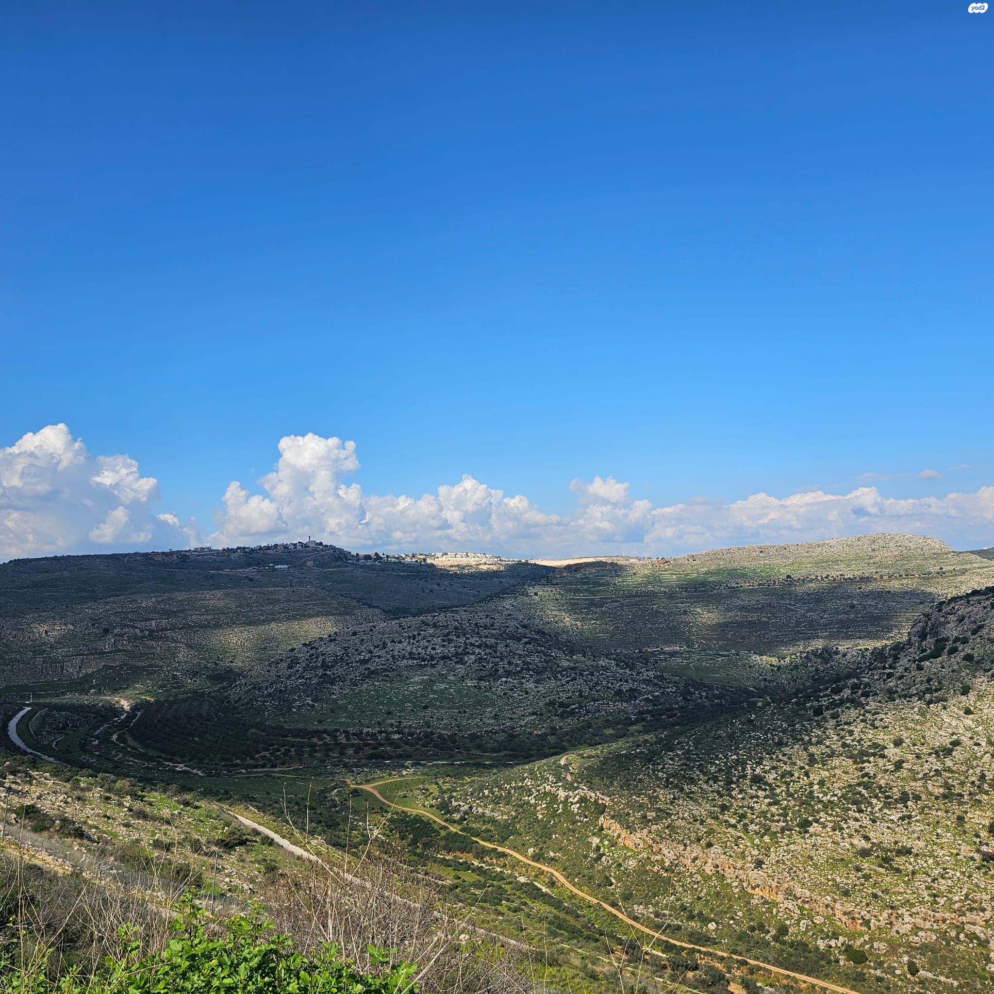 מגרשים