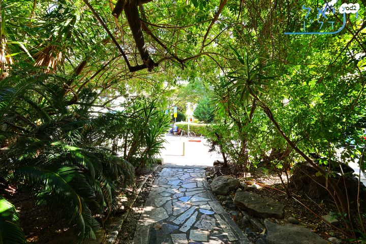 דירה, בארי, הצפון החדש - דרום, תל אביב יפו