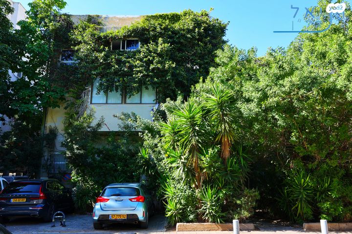 דירה, בארי, הצפון החדש - דרום, תל אביב יפו