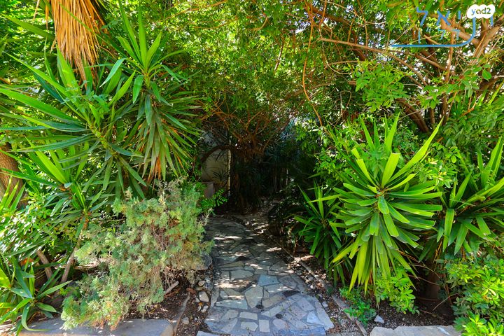 דירה, בארי, הצפון החדש - דרום, תל אביב יפו