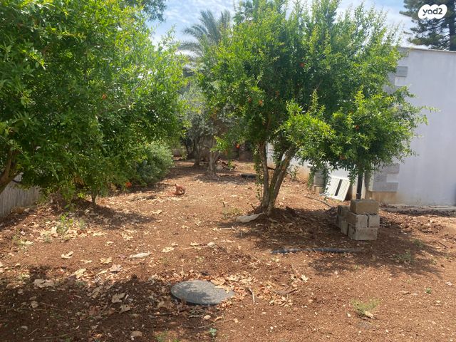 מחסן, מגן שאול