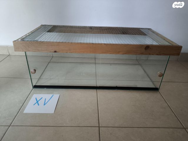 תמונת מודעה - חיות מחמד