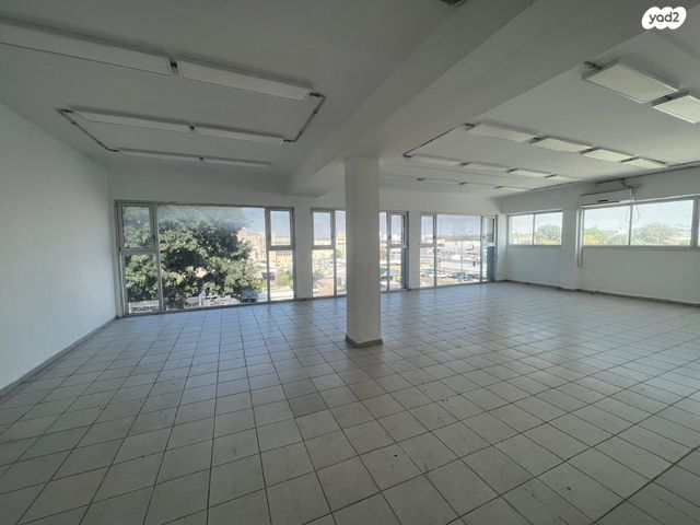 צבי שכטרמן 8