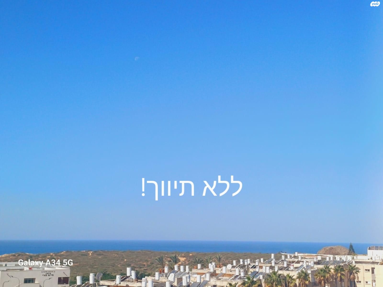 זלמן שניאור 4