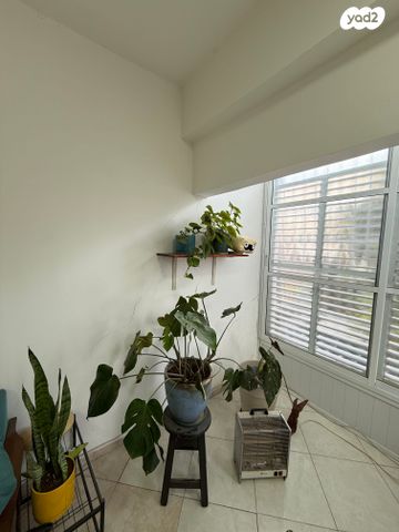 דירת גן, חכמי אתונה 4, שפירא, תל אביב יפו