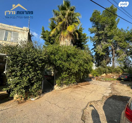 דירת גן, חנה סנש, קרית אתא