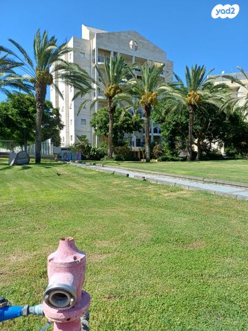 דירה, ראש פינה, הדר המושבות הותיקה / אם המושבות הותיקה, פתח תקווה