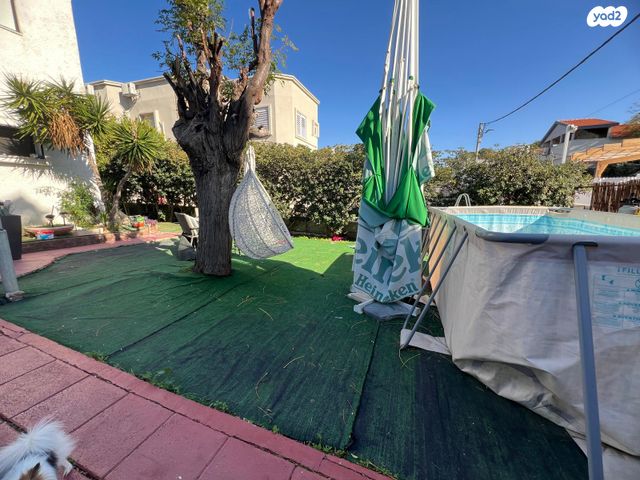 שביל הנרקיס 