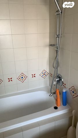 דופלקס, צמחי היהודים, רמת אביב, תל אביב יפו