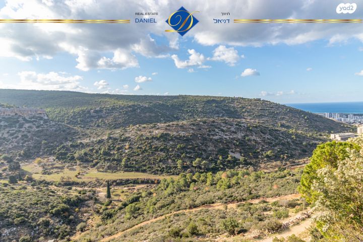 דו משפחתי, הוד הכרמל, דניה, חיפה