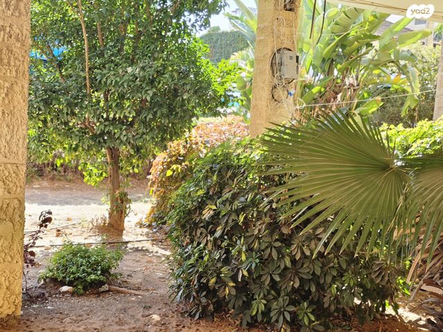 דירה, אליעזר יעקובזון, ג' / מרכז מזרח העיר, רחובות