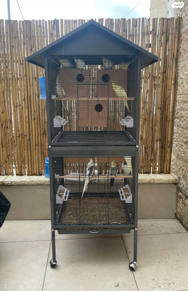 אביזרים | כלוב