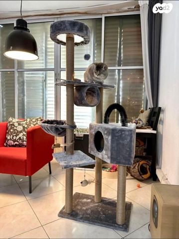 אביזרים | משחקים וצעצועים