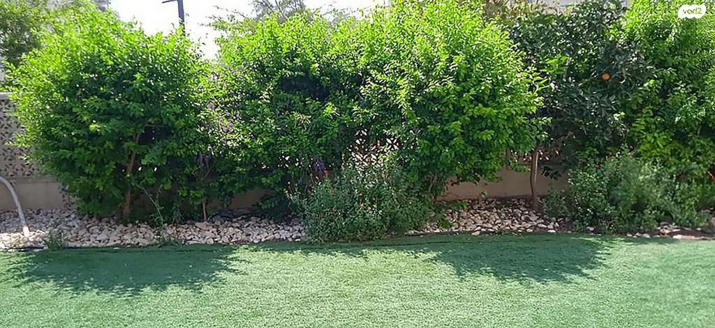 דירת גן, שבט יהודה 8, אחיסמך, לוד