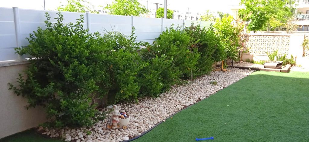 דירת גן, שבט יהודה 8, אחיסמך, לוד