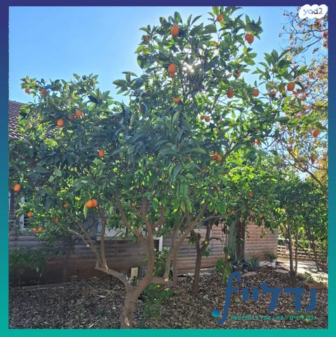 משק חקלאי/ נחלה, אביעזר, אביעזר