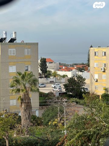 דירה, אשקלון