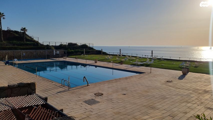 דירה, אלי לנדאו, הרצליה פיתוח, הרצליה