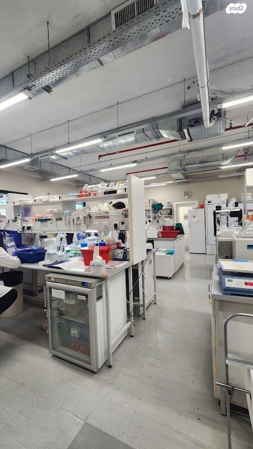 משרדים, המדע, פארק תמר, רחובות