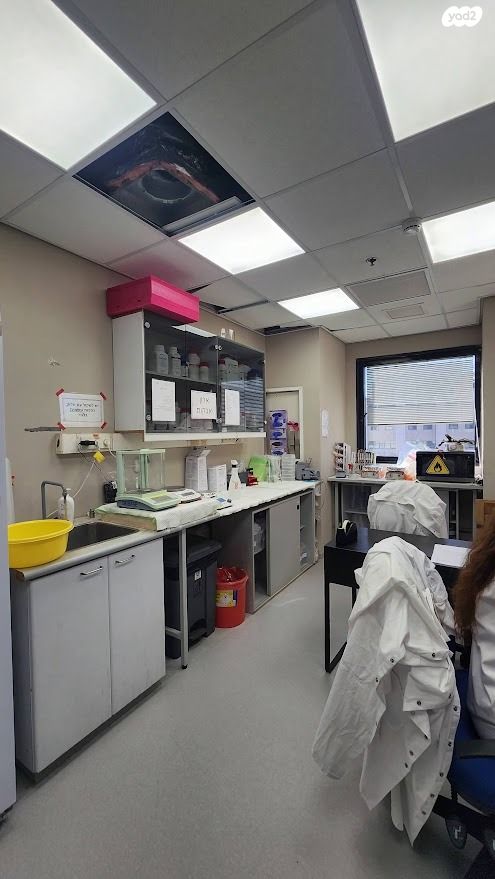 משרדים, המדע, פארק תמר, רחובות