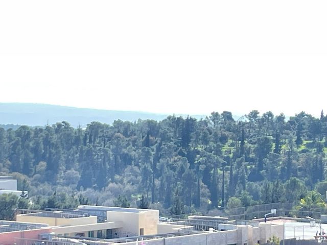 דירה, רימון 17, החורש, חריש