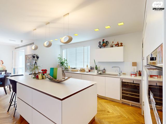 גג/ פנטהאוז, נווה אביבים, תל אביב יפו