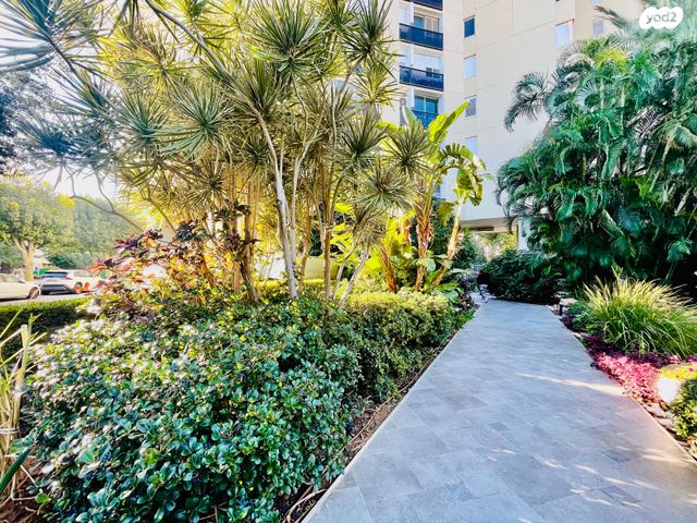 הצפון החדש - כיכר המדינה