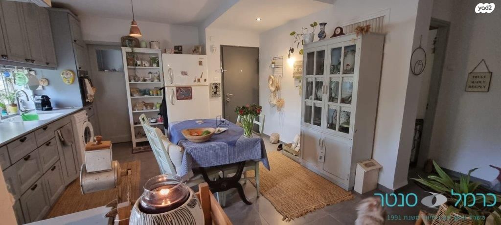 דירת גן, רוממה, חיפה