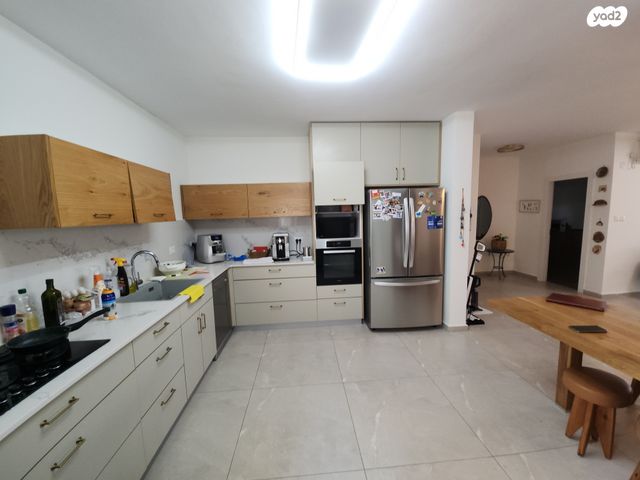 דוד וולפסון 