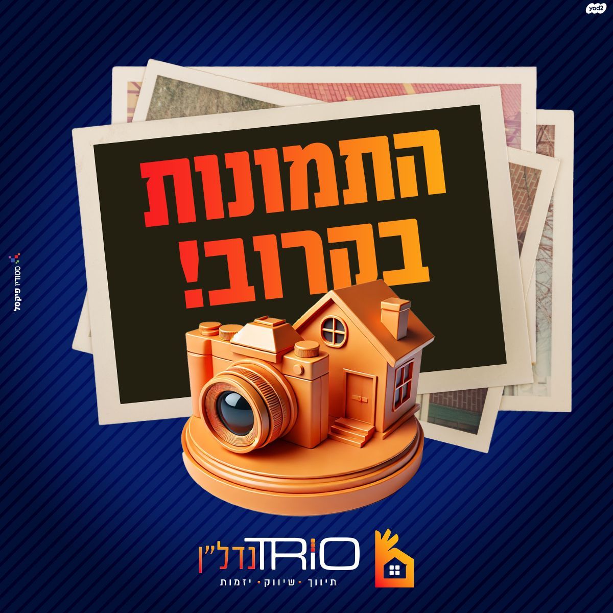 סנונית 