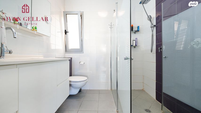 גג/ פנטהאוז, תירוש, כרמים, שוהם