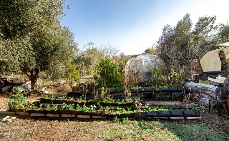 בית פרטי/ קוטג', מטע