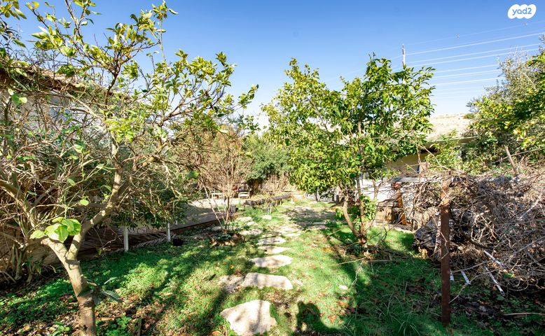 בית פרטי/ קוטג', מטע