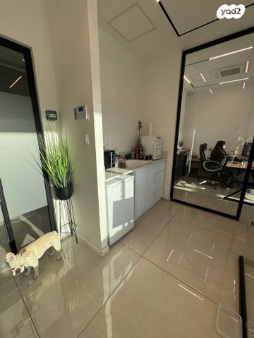 משרדים, חיפה