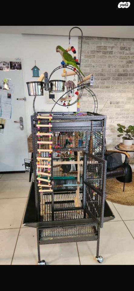 תמונת מודעה - חיות מחמד