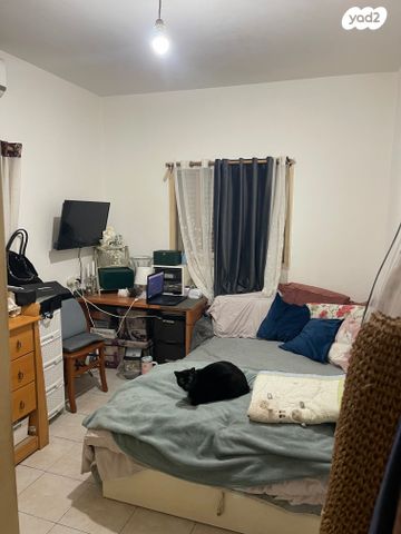 דירה, שמריהו לוין, אברמוביץ', ראשון לציון