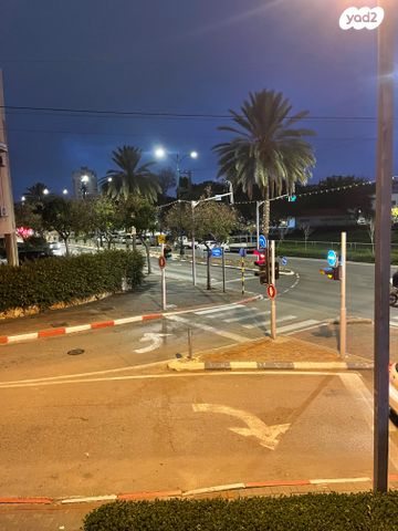 דירה, שמריהו לוין, אברמוביץ', ראשון לציון