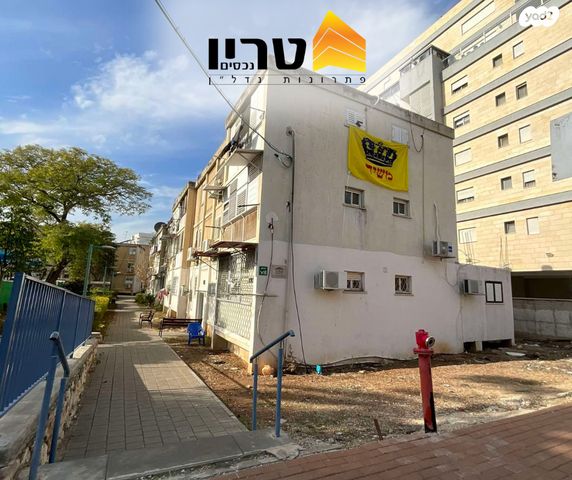 יעקב קינמון 