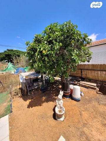 דו משפחתי, גיורא, הוד השרון