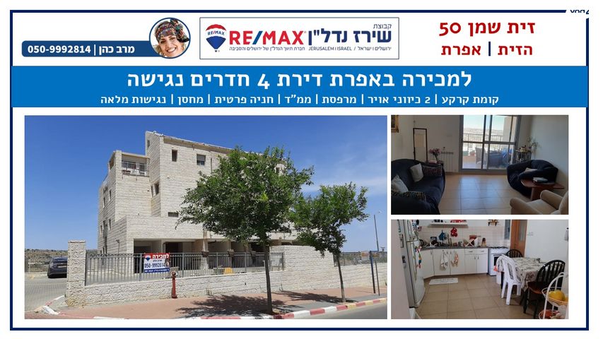זית שמן 50