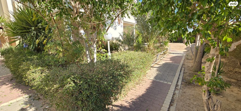 אהרון ציזלינג 