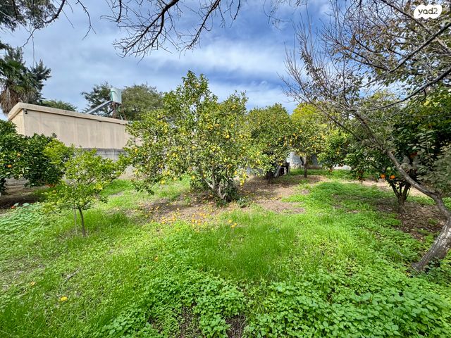 בית פרטי/ קוטג', גיל עמל, הוד השרון