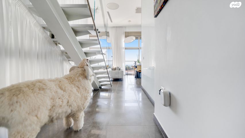 גג/ פנטהאוז, עין הים, חדרה