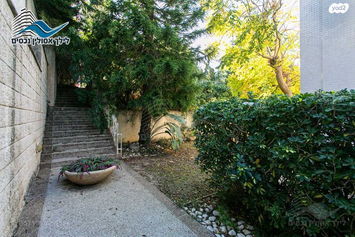 בית פרטי/ קוטג', הוד הכרמל, דניה, חיפה