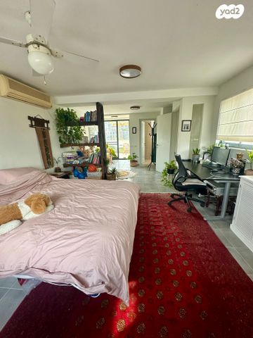 דופלקס, בבלי, תל אביב יפו