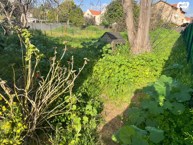 מגרשים, שח"ל, גיל עמל, הוד השרון