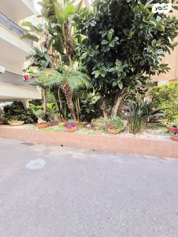 דירה, דרור, רמב"ם, ראשון לציון