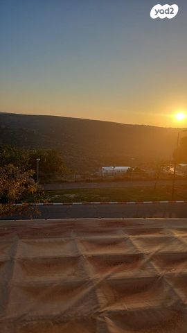 הבעש"ט 50