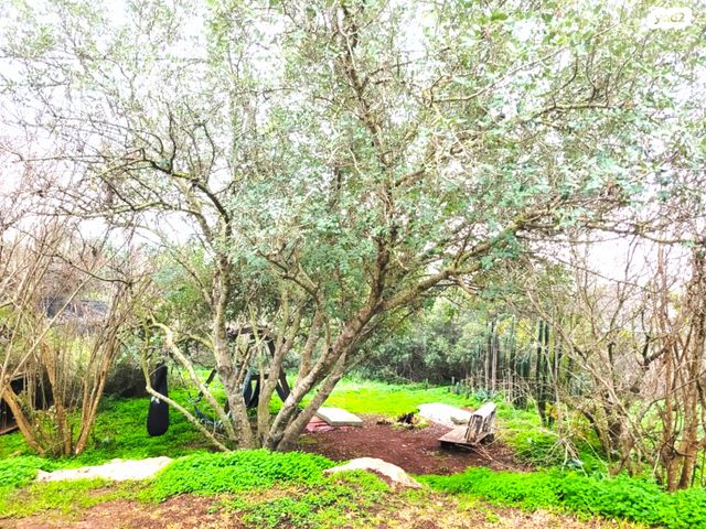 בית פרטי/ קוטג', ארבל 1, הררית, הררית